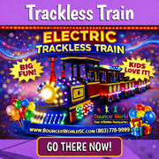 Trackless Train