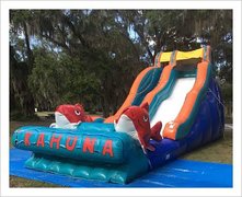 USED BIG KAHUNA SLIDE WET/DRY USED BIG KAHUNA SLIDE WET/DRY