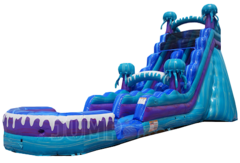 20' ELECTRIC JELLY FISH SLIDE W/ POOL