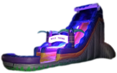 24' WILD THING SLIDE W/ POOLEquipped With LED Lights