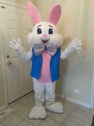 EASTER BUNNY COSTUME EASTER BUNNY COSTUME