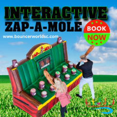 ZAP-A-MOLE<br>INTERACTIVE PLAY SYSTEM