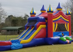 CARNIVAL CELEBRATION DUAL LANE COMBO WET/DRY CARNIVAL CELEBRATION DUAL LANE COMBO WET/DRY