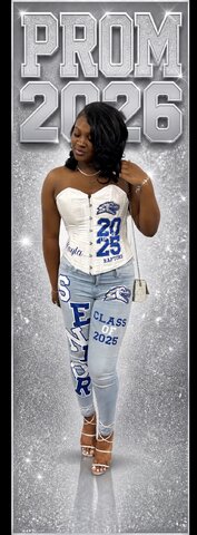2x6 Photo Board 