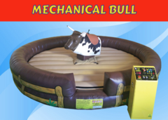 Mechanical Bull Rental