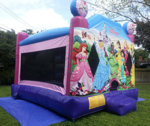 Princess Bounce House Rental Dallas TX