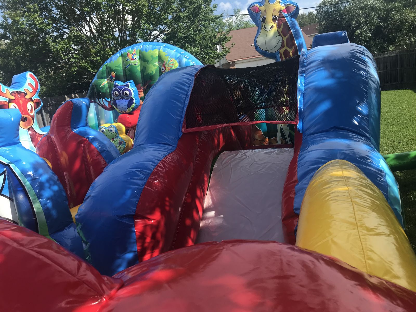 Animal Kingdom Toddler Inflatable Bounce Universe Party Rentals, LLC