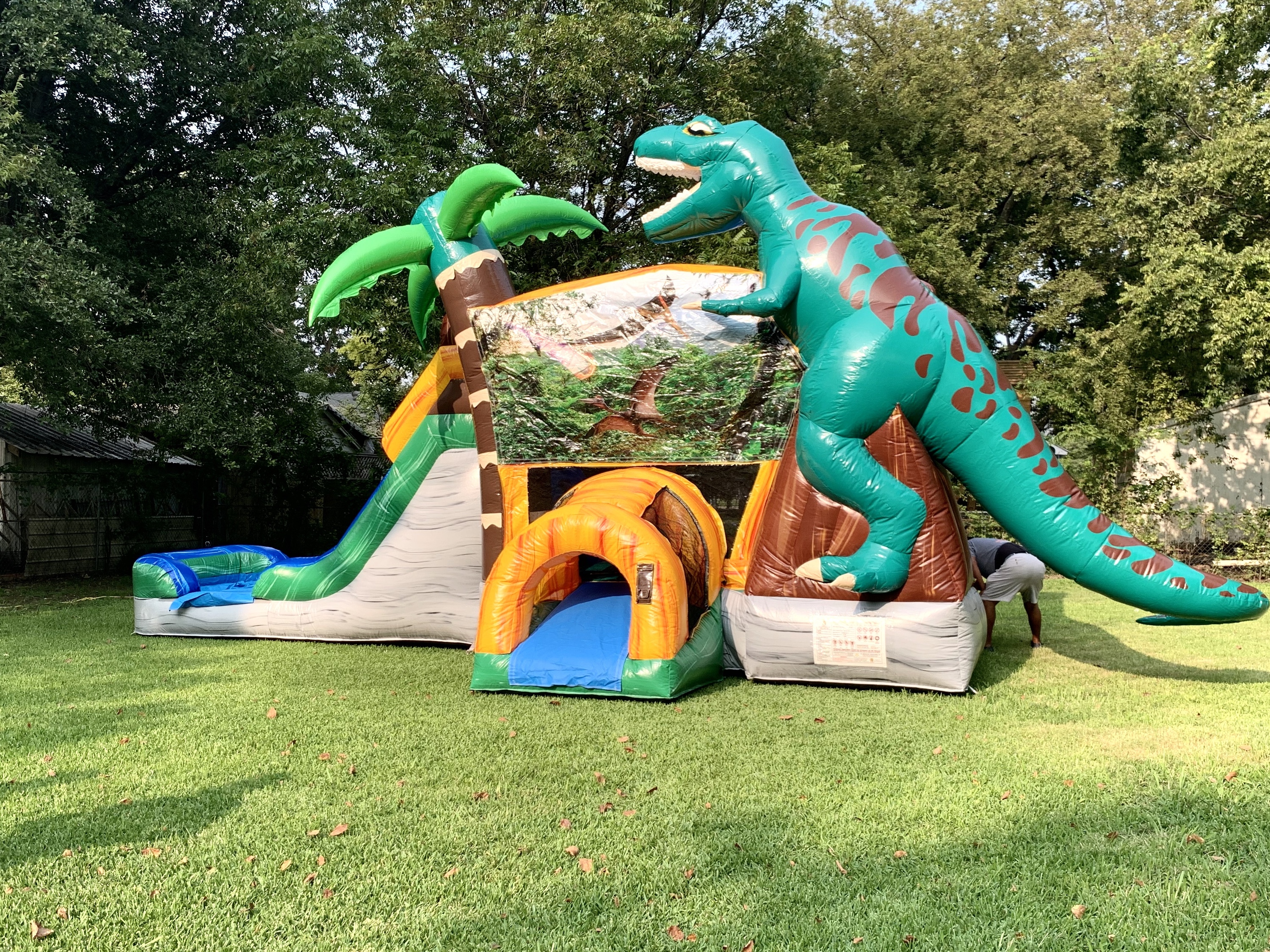 DINOSAURS FRONT YARD 7 IN 1 (water slide with landing pool) - Combos /  Interactives (wet/dry)