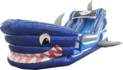 18' Shark Water Slide WS-308