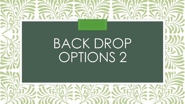 Smaller Back Drop Options