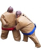 (B) Adult Foam Sumo with mat - Vegas