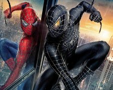 Spider Man Good & Bad Banner
