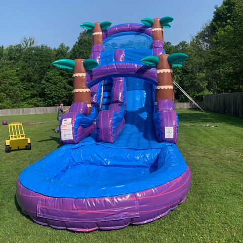 18' Purple Palm Water Slide Rentals Lafayette La