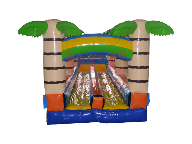 Fun Tropical Double Lane Slip and Slide