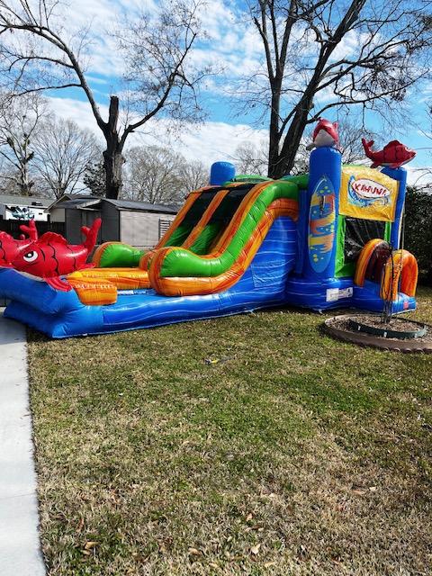 Inflatable Games And Water Slide Rentals