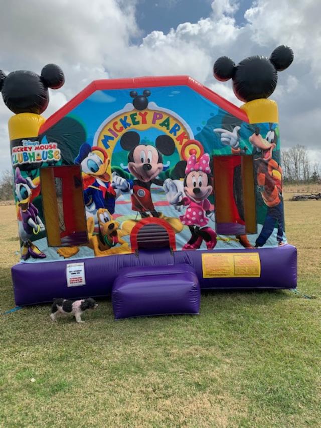 Mickey Mouse Inflatable Fun Jump Church Point