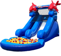 Ball Pit Lil Kahuna Slides (Dry Only)
