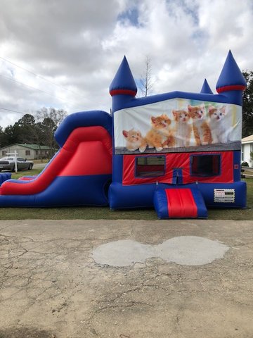 Kitty Cat 7' Double Lane Dry Slide With Bounce House