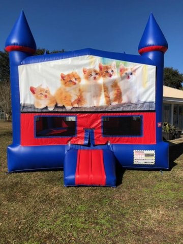 Kitty Cat Bounce House with Basketball Goal