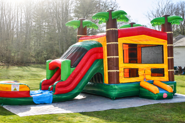  Paradise  Dual Lane  Bounce House Combo (DRY)