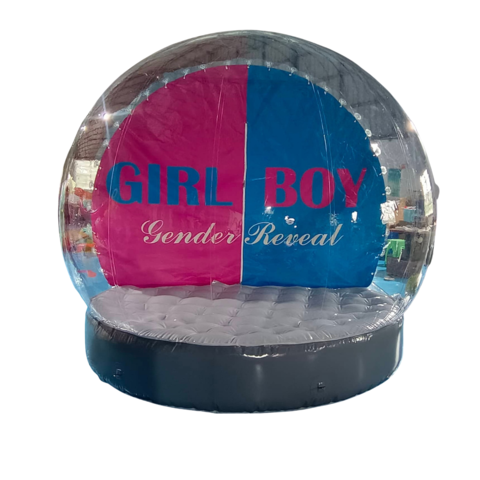 GENDER REVEAL GLOBE BOY GIRL