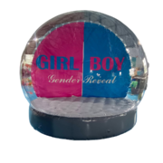 GENDER REVEAL GLOBE