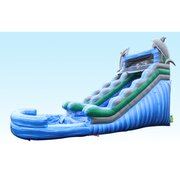 15ft Dolphin Waterslide