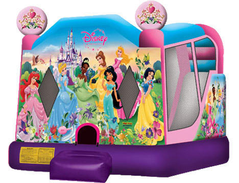  Disney Princess Castle Combo (Dry)