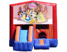 3-in-1 Combo with Front Slide - Princesses (Dry)