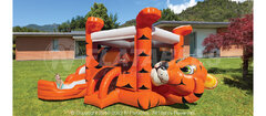 Toddler Inflatables