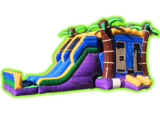 Tropical Bounce House with Slides