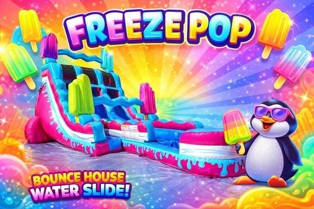 20ft Freeze Pop Dual Lane Slide with Pool