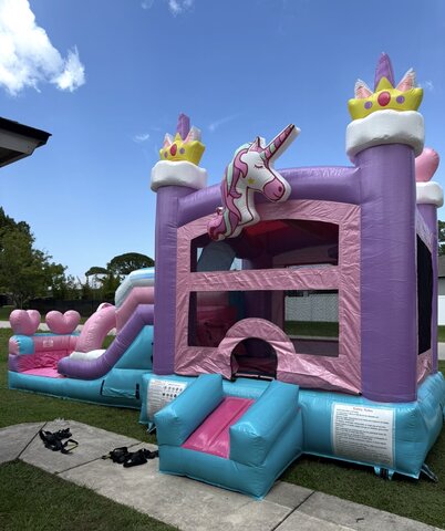 Unicorn Splash Combo Wet Dry