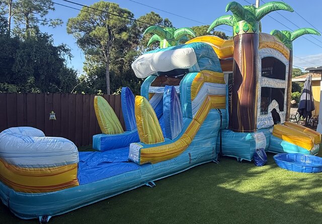 Surfs Up Combo Wet Dry