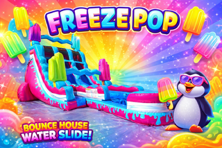 20ft Freeze Pop Dual Lane Slide with Pool