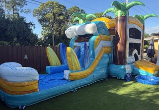 Surf's Up Combo (Wet/Dry)