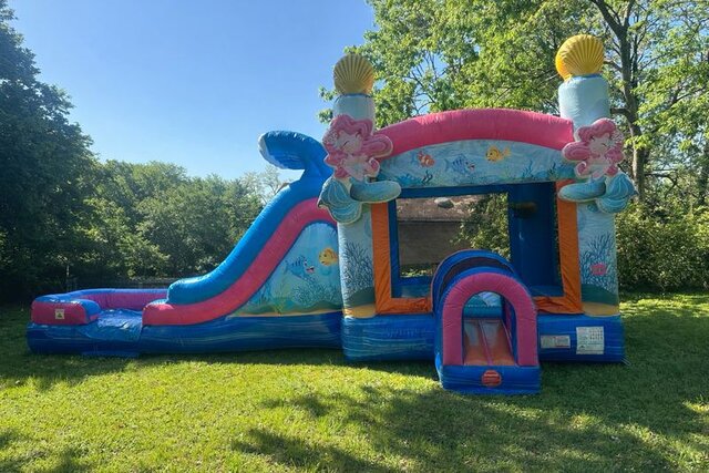 Ariel's Adventure Combo 