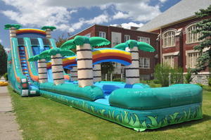 Tropical 22ft Doublelane Waterslide