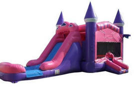 Princess Wet Dry Combo