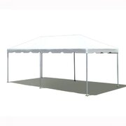 10 x 20 Frame Tent (White Top)