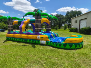 Jungle slip and slide