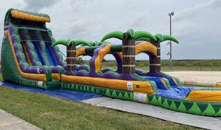 Jungle Falls 22ft