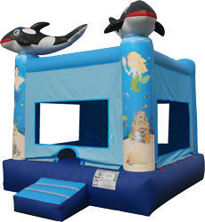 Orca Ocean Bouncer