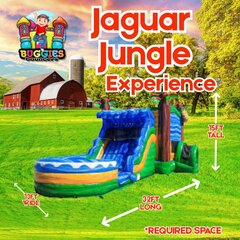 Jaguar Jungle Experience Combo