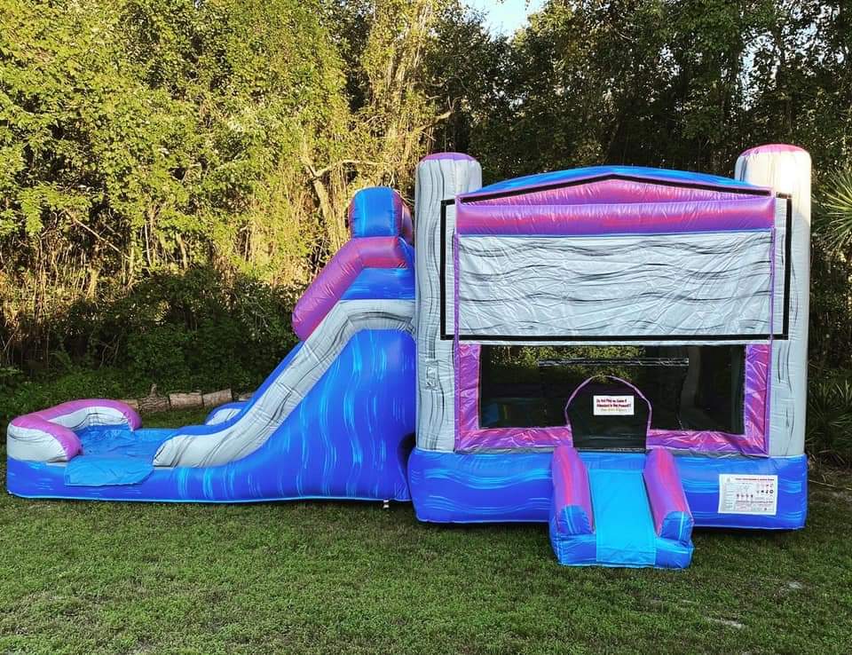 Blur, gray and purple bounce house water slide for a family reunion