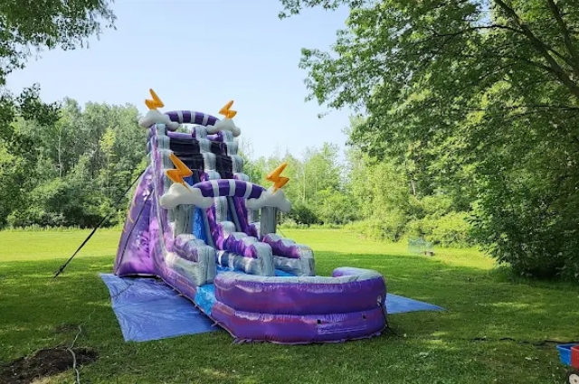 Purple thunder-themed inflatable water slide with splash pool set up in open grassy park surrounded by trees and nature