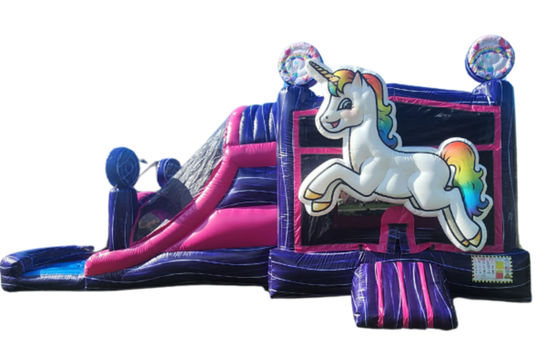 Magical Unicorn with slide