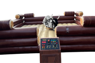 Mechanical Bull