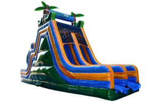 Warped Jungle Slide