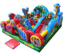 Toddler Inflatable Rental